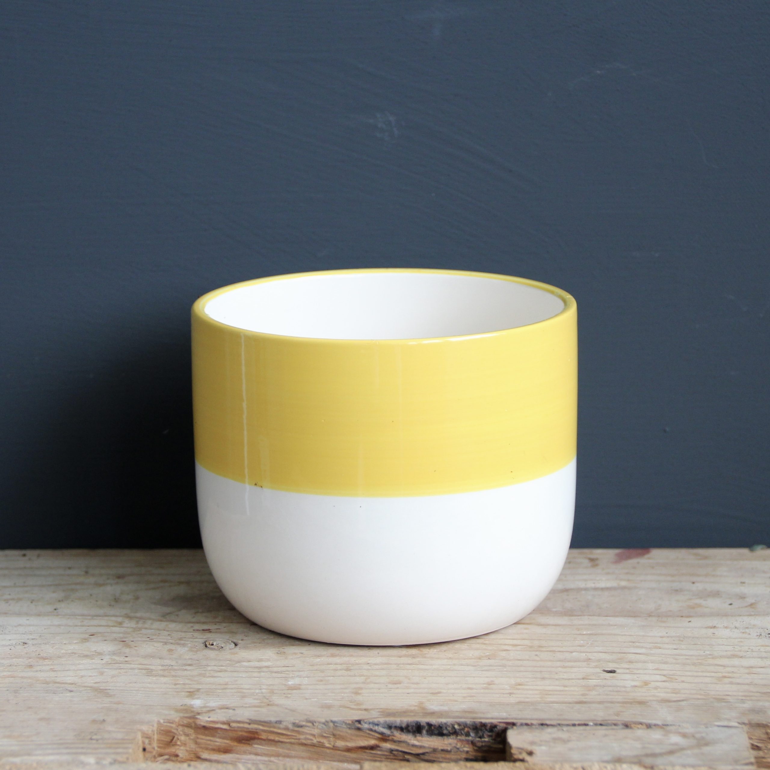 Kvetináč Yellow White Ø 12 cm 1 kvetinac-na-rastliny-biely-zlty-rastlinkovo