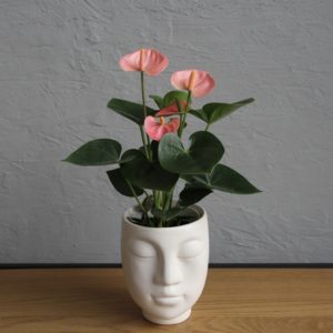 kvetinac v tvare hlavy šedý