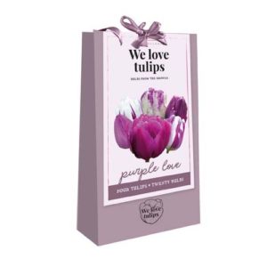 we love tulips purple love