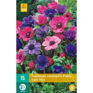 anemone-veternica-coronaria-roze-mix-rastlinkovo