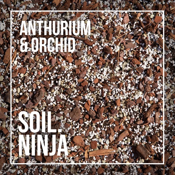 soil-ninja-orchidea-anthurium-rastlinkovo