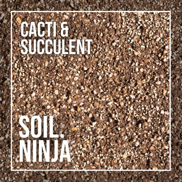 soil-ninja-kaktus-sukulent-2,5-litrov-rastlinkovo