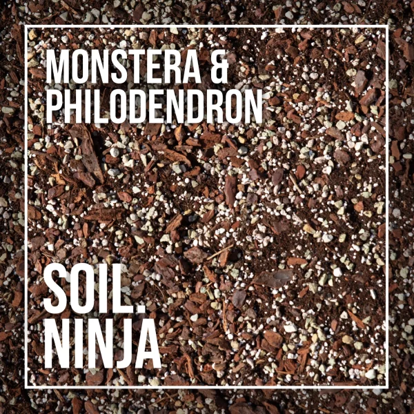 soil-ninja-monstera-philodendron-5-litrov-rastlinkovo