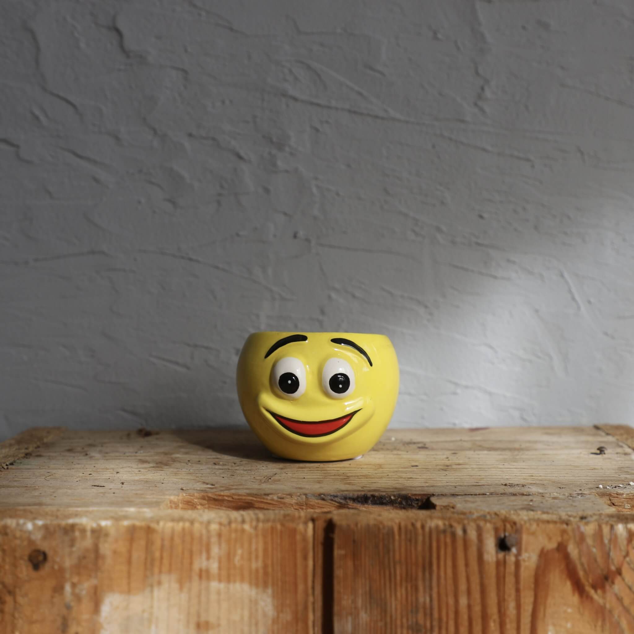 Kvetináč Smiley Ø 6 cm 1 zlty-kvetinac-smiley-6-cm-rastlinkovo
