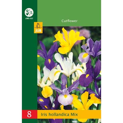 kosatec-iris-hollandica-mix-rastlinkovo