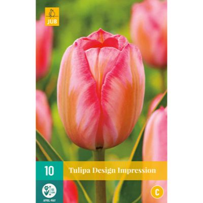 tulipan-tulipa-design-impression-rastlinkovo