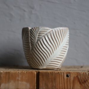 kvetinac-leaf-white-rastlinkovo