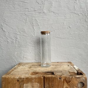 Sklenene-terarium-rastlinkovo