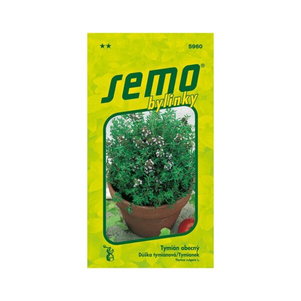 semo-tymian-rastlinkovo