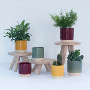 eno-duo-rastlinkovo-ceramics-limburg