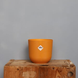 elho-plastovy-kvetinac-jazz-amber-yellow-rastlinkovo