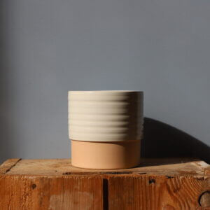 kvetinac-cellos-dusty-ivory-12-cm-rastlinkovo