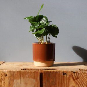 kvetinac-eno-duo-dusty-terracotta-7-cm-rastlinkovo1