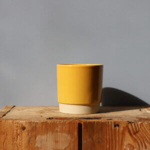 kvetinac-eno-duo-ocher-10-cm-rastlinkovo