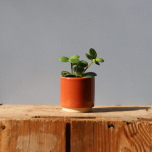 kvetinac-eno-duo-terracotta-6-cm-rastlinkovo1