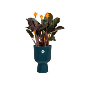 elho-plastovy-kvetinac-14-cm-rastlinkovo