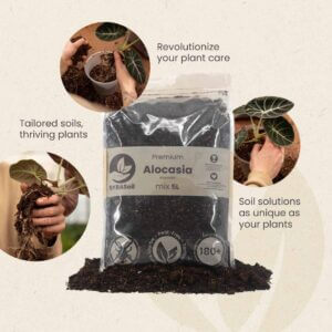 sybotanica-alocasia-mix-substrat-5-litrov-rastlinkovo