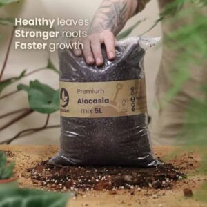 sybotanica-alocasia-mix-substrat-5-litrov-rastlinkovo