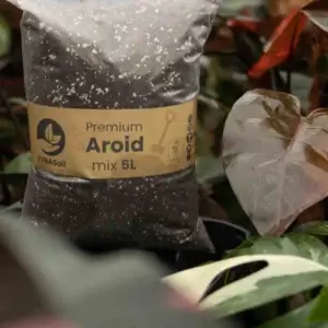 sybotanica-aroid-mix-substrat-5-litrov-rastlinkovo