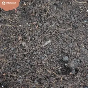 sybotanica-základný-mix-substrat-5-litrov-rastlinkovo