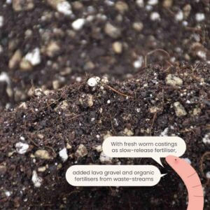 sybotanica-bonsai-mix-substrat-5-litrov-rastlinkovo