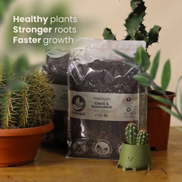 sybotanica-kaktus-a-sukulent-mix-substrat-5-litrov-rastlinkovo