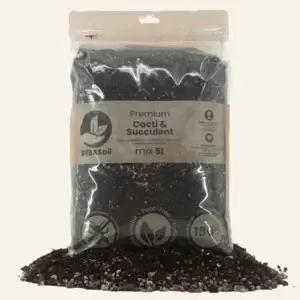 sybotanica-kaktus-a-sukulent-mix-substrat-5-litrov-rastlinkovo