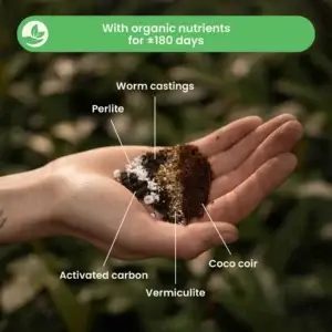 sybotanica-calathea-a-maranta-mix-substrat-5-litrov-rastlinkovo