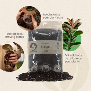 sybotanica-ficus-mix-substrat-5-litrov-rastlinkovo