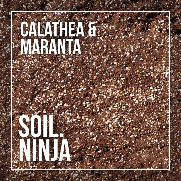 soil-ninja-substrat-calathea-maranta-2-litre-rastlinkovo
