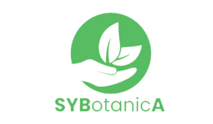 Sybotanica-rastlinkovo