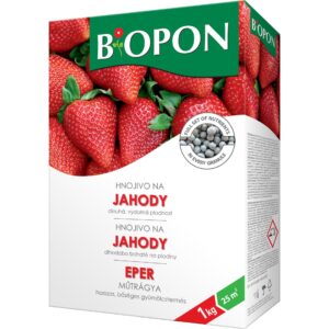 bopon-jahody-1-kg-bros-rastlinkovo
