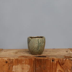kvetinac-leaf-green-6-cm-rastlinkovo