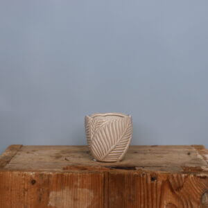 kvetinac-leaf-white-6-cm