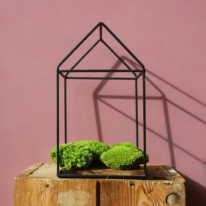 stabilizovany-mach-ball-moss-rastlinkovo