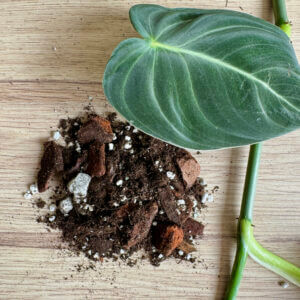 rastlinkovo-substrat-monstera-philodendron