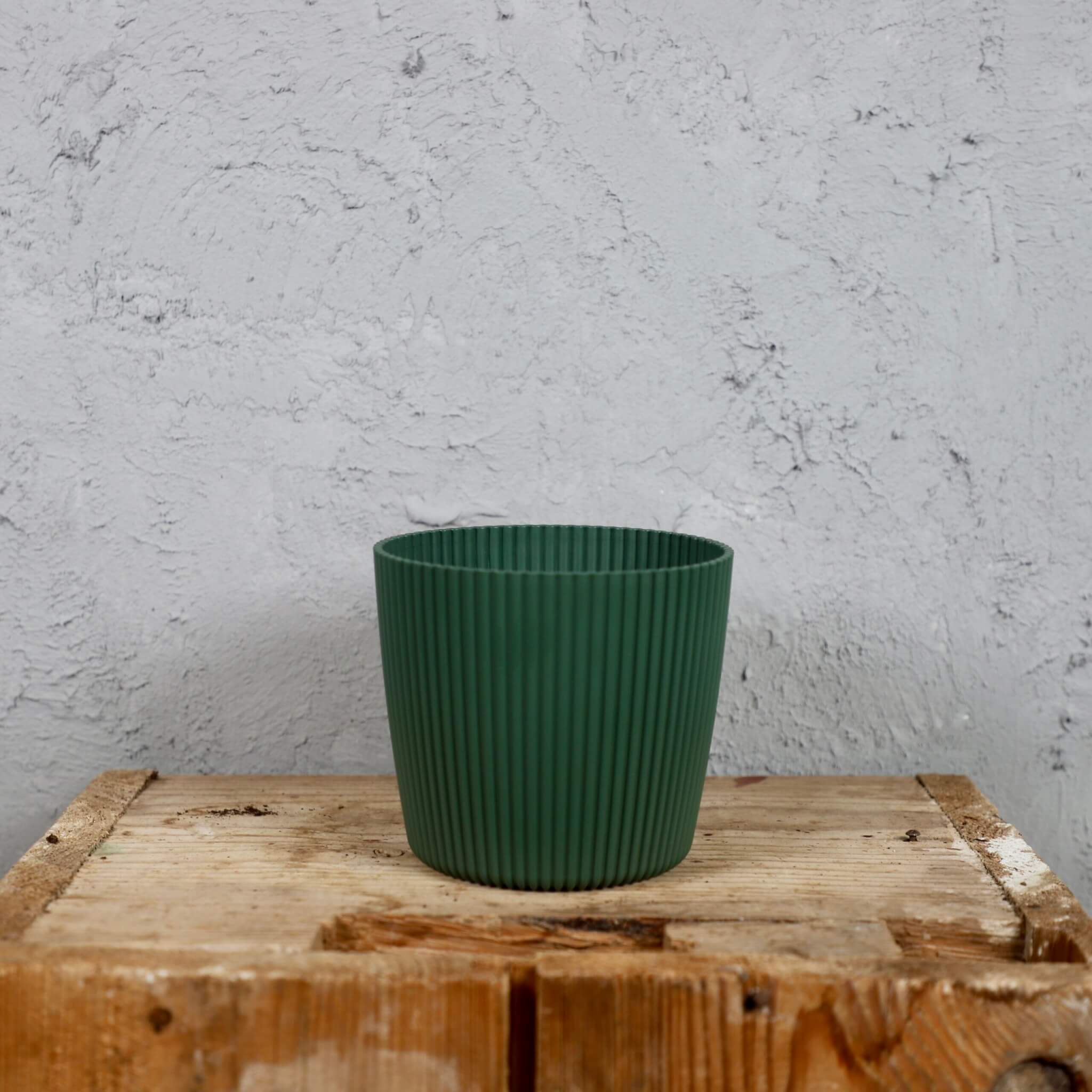 Prosperplast plastový kvetináč Milly round pine green Ø 10 cm