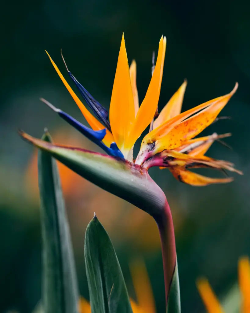 fotky na blog