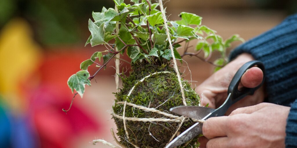 Kokedama: živé umenie v byte 6 kokedama-rastlinkovo