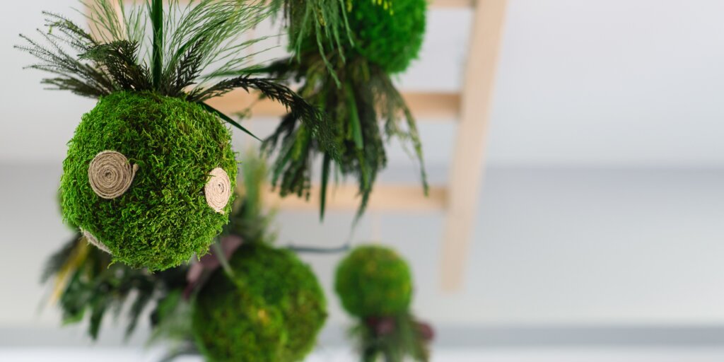 Kokedama: živé umenie v byte 7 kokedama-rastlinkovo
