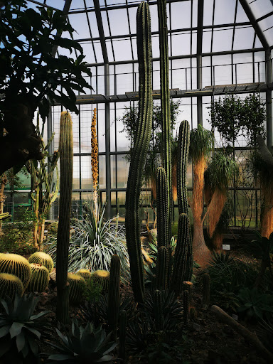AF1QipNykZJ MSi1ZjbiwPZUFIz3rSdCI0RahLp 9n0Is512