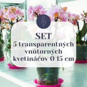 set-transparentnych-vnutornych-plastovych-kvetinacov-15-cm-rastlinkovo