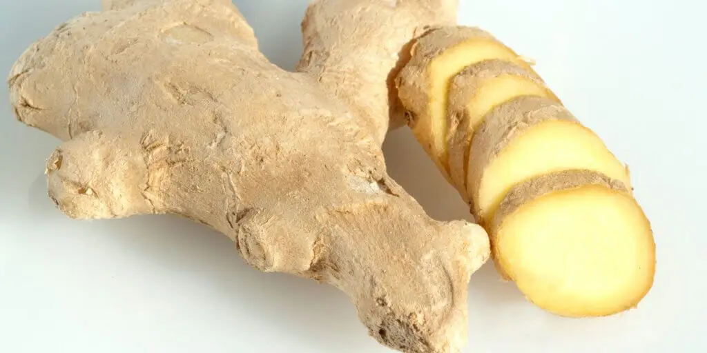 dumbier-lekarsky-zazvor-rastlinkovo