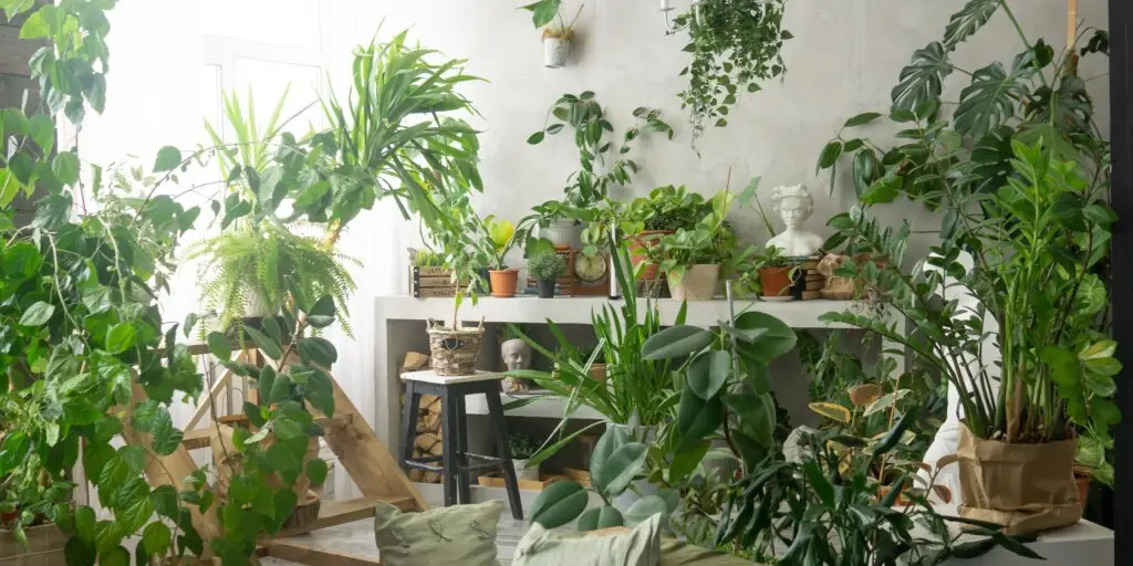 Urban Jungle. Zachytili ste už tento trend? 1 urban-jungle-rastlinkovo