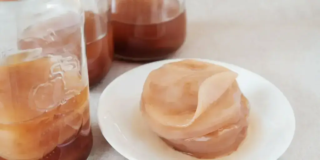 Kombucha: Všetko, čo potrebujete vedieť o tomto zdravom nápoji + recept na kombuchu 2 kombucha-scoby-rastlinkovo