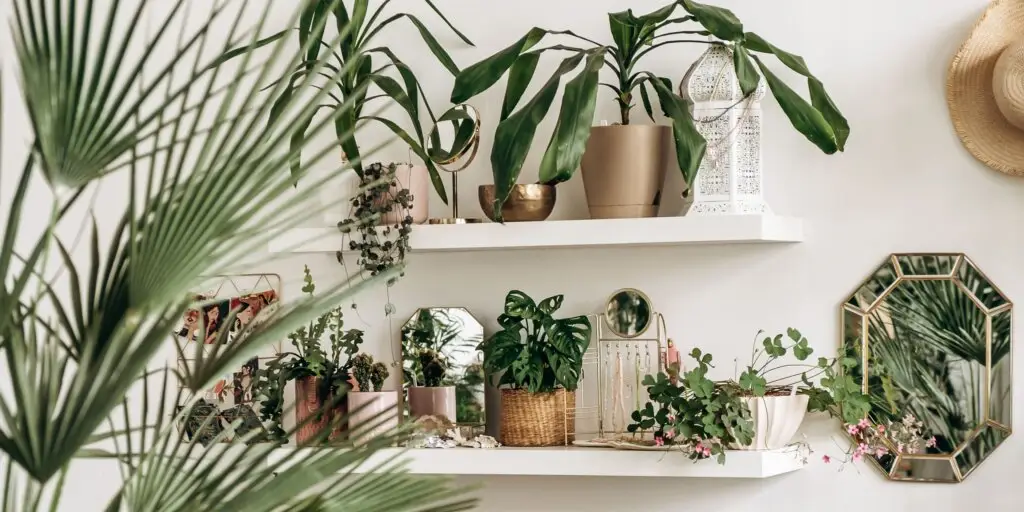 Urban Jungle. Zachytili ste už tento trend? 3 urban-jungle-rastlinkovo