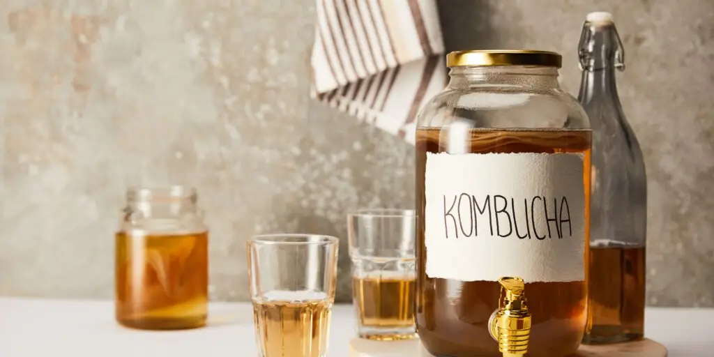 Kombucha: Všetko, čo potrebujete vedieť o tomto zdravom nápoji + recept na kombuchu 3 kombucha-scoby-rastlinkovo