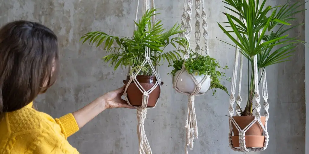 macrame-makrame-rastlinkovo