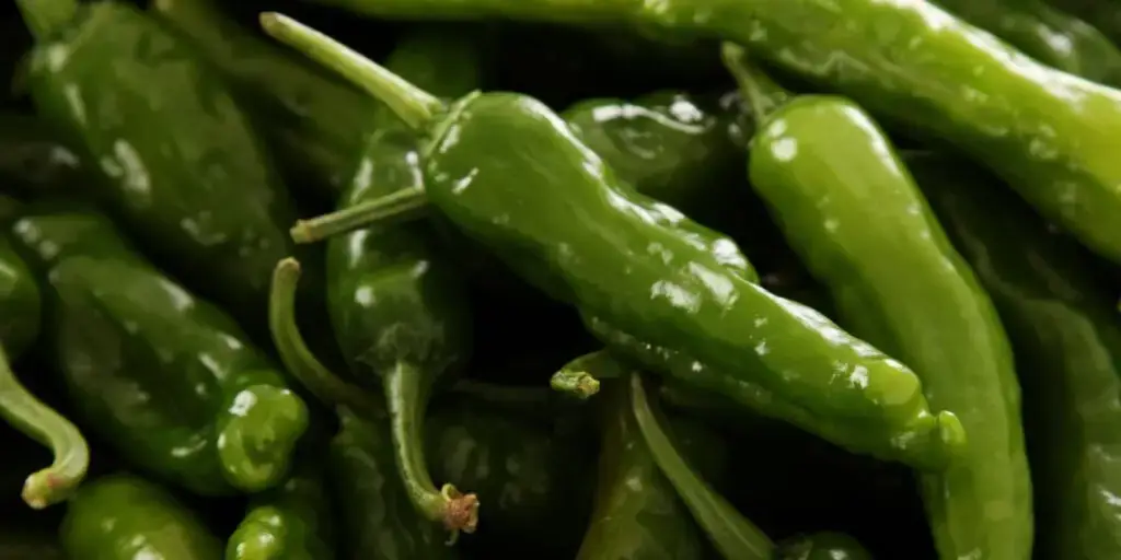 Scovilleho stupnica: Sprievodca štiplavosťou chilli papričiek 4 6 30