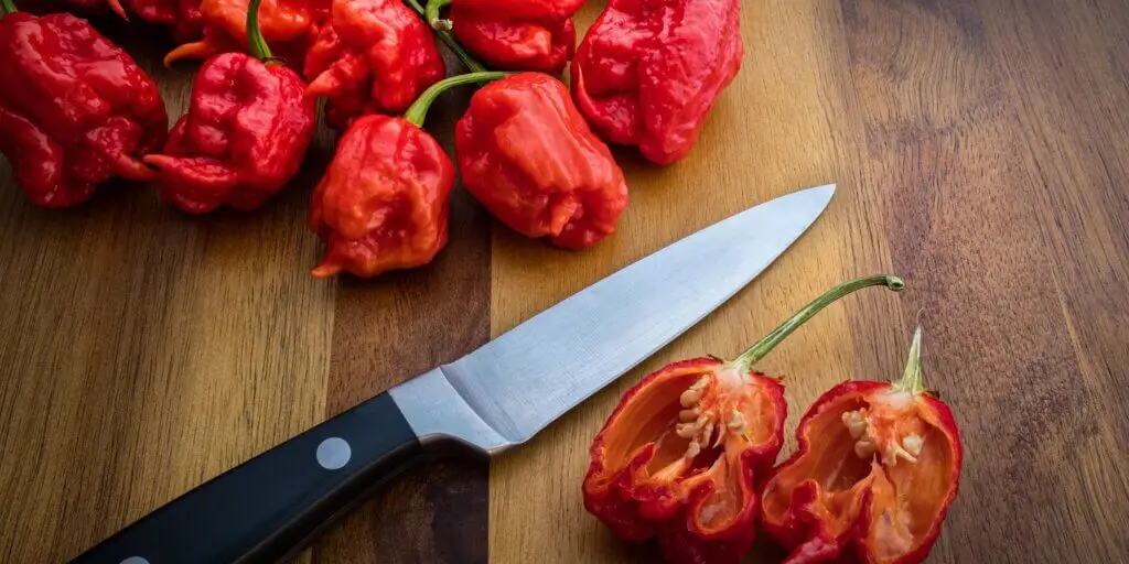 Najznámejšie chilli papričky. Poznáte všetkých 12 papričiek? 2 3 11